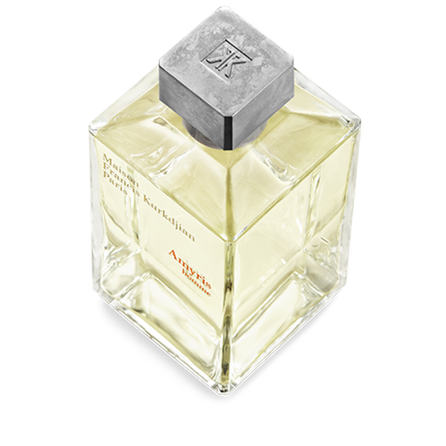 Amyris homme